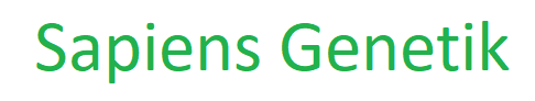 Sapiens Genetik